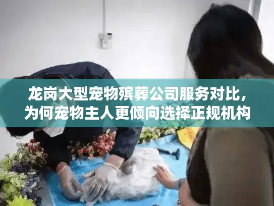 龙岗大型宠物殡葬公司服务对比，为何宠物主人更倾向选择正规机构？