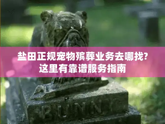 盐田正规宠物殡葬业务去哪找?这里有靠谱服务指南