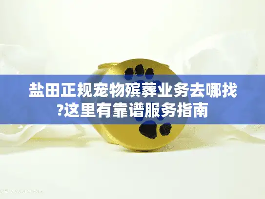 盐田正规宠物殡葬业务去哪找?这里有靠谱服务指南