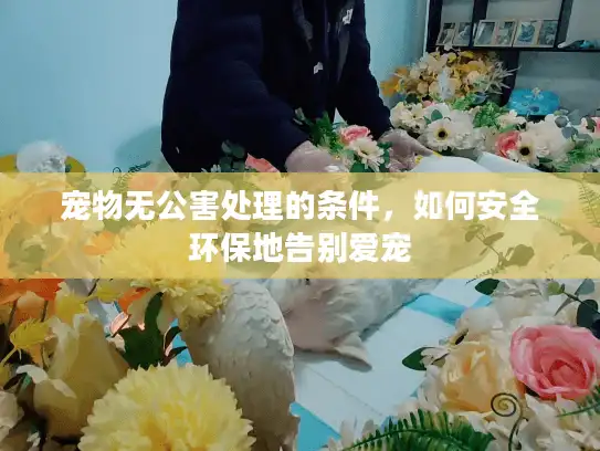 宠物无公害处理的条件，如何安全环保地告别爱宠