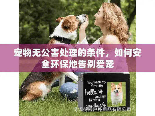 宠物无公害处理的条件，如何安全环保地告别爱宠