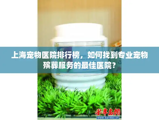 上海宠物医院排行榜，如何找到专业宠物殡葬服务的最佳医院？