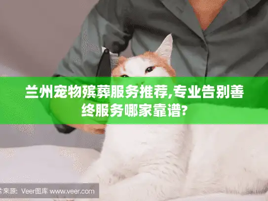 兰州宠物殡葬服务推荐,专业告别善终服务哪家靠谱?