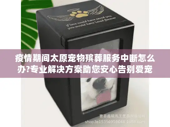 疫情期间太原宠物殡葬服务中断怎么办?专业解决方案助您安心告别爱宠