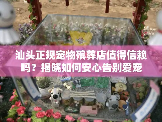 汕头正规宠物殡葬店值得信赖吗？揭晓如何安心告别爱宠