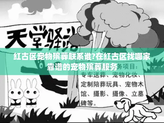 红古区宠物殡葬联系谁?在红古区找哪家靠谱的宠物殡葬服务