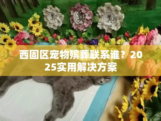 西固区宠物殡葬联系谁？2025实用解决方案