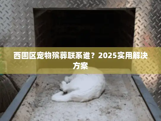 西固区宠物殡葬联系谁？2025实用解决方案