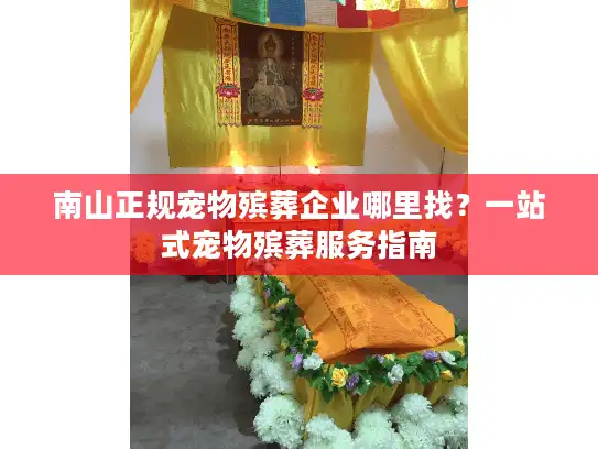南山正规宠物殡葬企业哪里找？一站式宠物殡葬服务指南