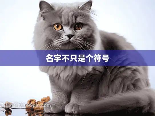名字不只是个符号