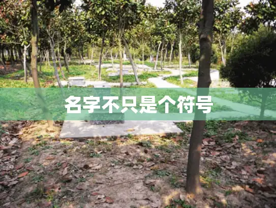 名字不只是个符号
