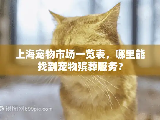 上海宠物市场一览表，哪里能找到宠物殡葬服务？