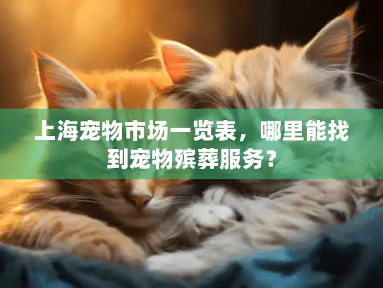 上海宠物市场一览表，哪里能找到宠物殡葬服务？