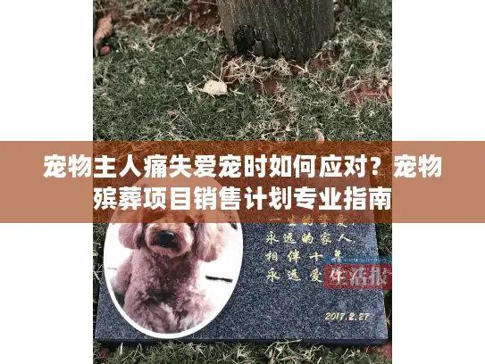 宠物主人痛失爱宠时如何应对？宠物殡葬项目销售计划专业指南