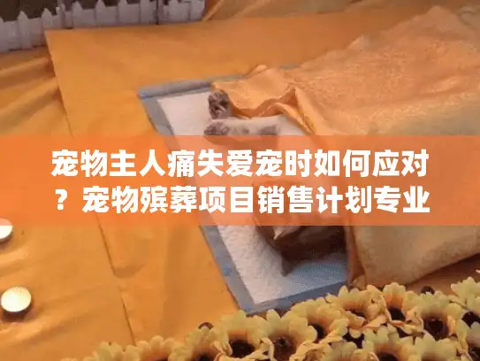 宠物主人痛失爱宠时如何应对？宠物殡葬项目销售计划专业指南