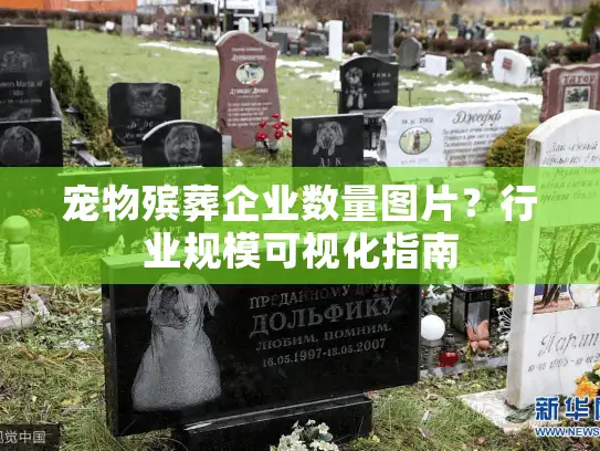 宠物殡葬企业数量图片？行业规模可视化指南