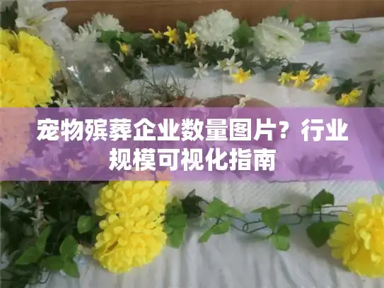宠物殡葬企业数量图片？行业规模可视化指南