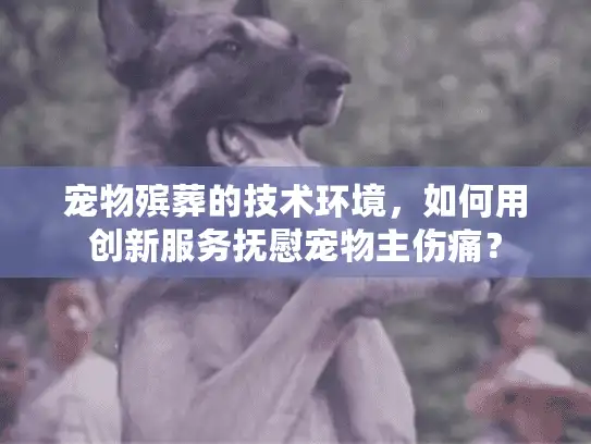 宠物殡葬的技术环境，如何用创新服务抚慰宠物主伤痛？