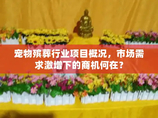 宠物殡葬行业项目概况，市场需求激增下的商机何在？