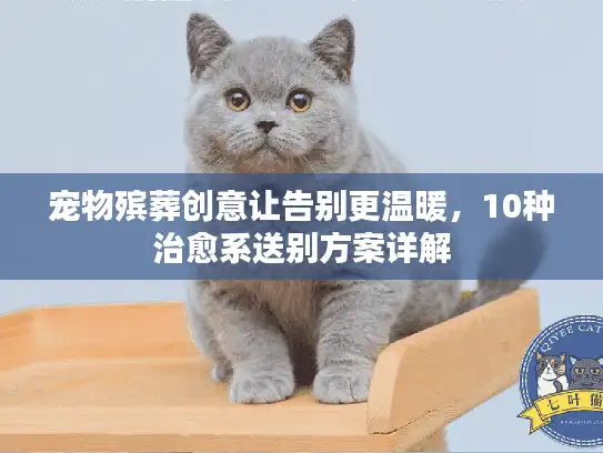 宠物殡葬创意让告别更温暖，10种治愈系送别方案详解