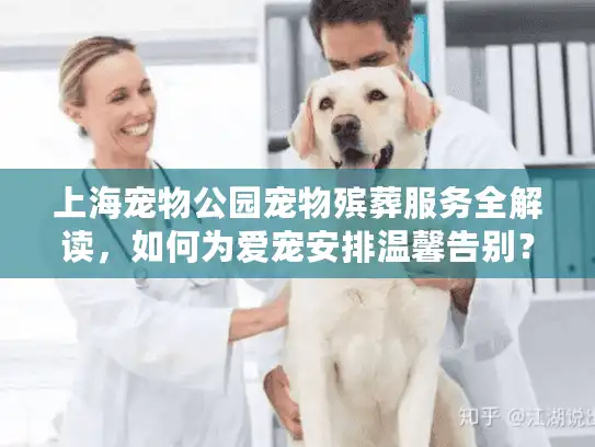 上海宠物公园宠物殡葬服务全解读，如何为爱宠安排温馨告别？