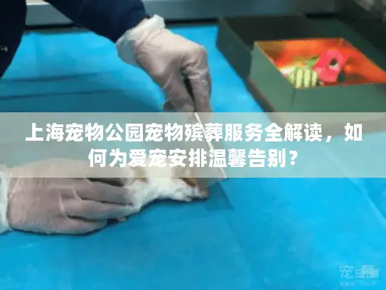 上海宠物公园宠物殡葬服务全解读，如何为爱宠安排温馨告别？