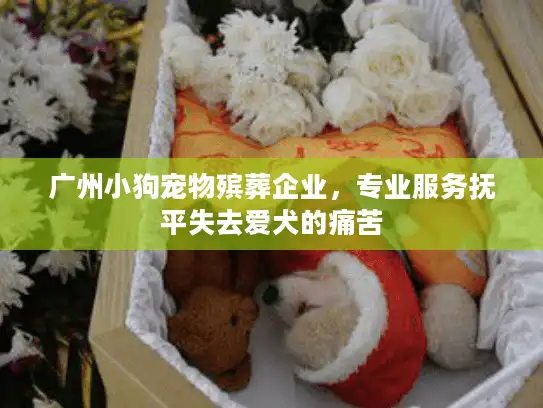广州小狗宠物殡葬企业，专业服务抚平失去爱犬的痛苦