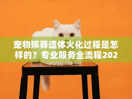 宠物殡葬遗体火化过程是怎样的？专业服务全流程2025解析