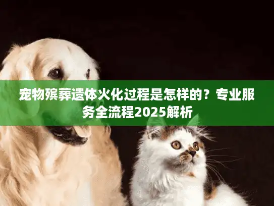宠物殡葬遗体火化过程是怎样的？专业服务全流程2025解析