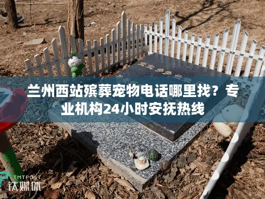 兰州西站殡葬宠物电话哪里找？专业机构24小时安抚热线