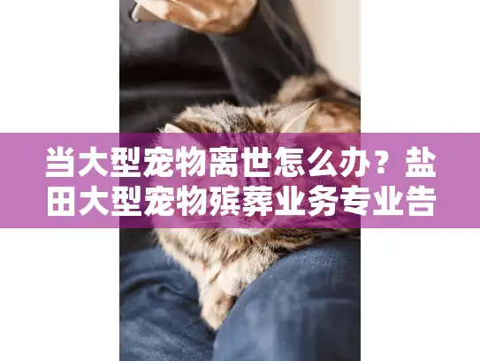 当大型宠物离世怎么办？盐田大型宠物殡葬业务专业告别服务为您解忧