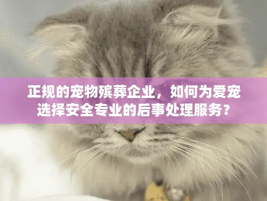 正规的宠物殡葬企业，如何为爱宠选择安全专业的后事处理服务？