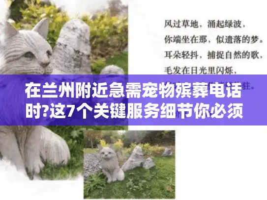 在兰州附近急需宠物殡葬电话时?这7个关键服务细节你必须知道