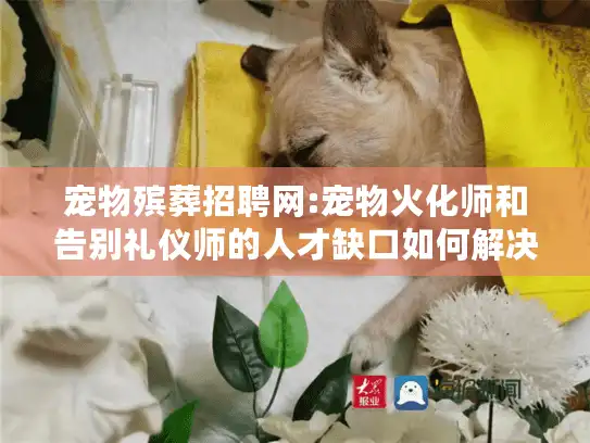 宠物殡葬招聘网:宠物火化师和告别礼仪师的人才缺口如何解决?