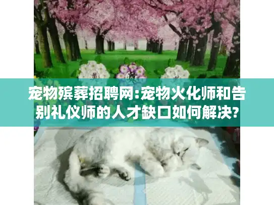 宠物殡葬招聘网:宠物火化师和告别礼仪师的人才缺口如何解决?