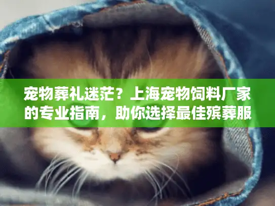 宠物葬礼迷茫？上海宠物饲料厂家的专业指南，助你选择最佳殡葬服务
