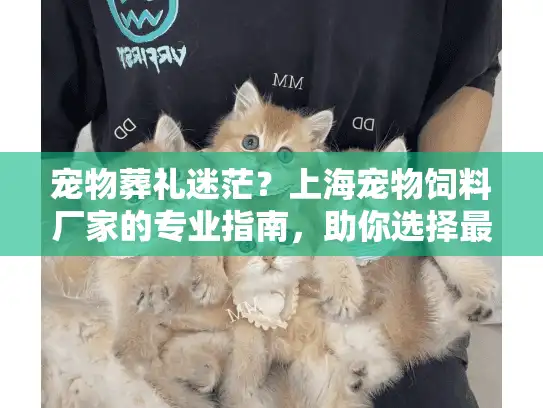 宠物葬礼迷茫？上海宠物饲料厂家的专业指南，助你选择最佳殡葬服务