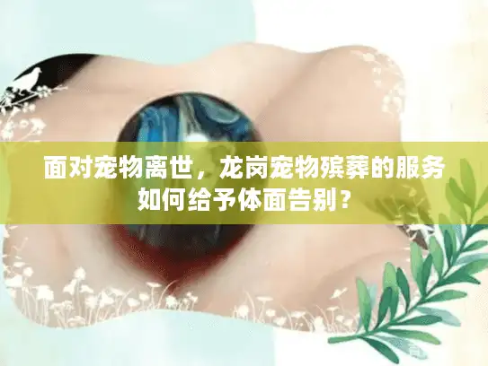 面对宠物离世，龙岗宠物殡葬的服务如何给予体面告别？