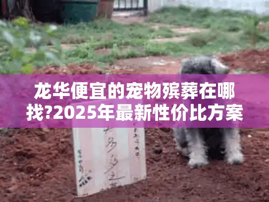 龙华便宜的宠物殡葬在哪找?2025年最新性价比方案指南