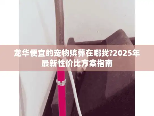 龙华便宜的宠物殡葬在哪找?2025年最新性价比方案指南