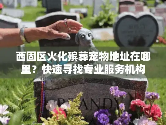 西固区火化殡葬宠物地址在哪里？快速寻找专业服务机构