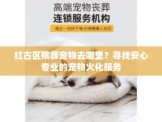 红古区殡葬宠物去哪里？寻找安心专业的宠物火化服务