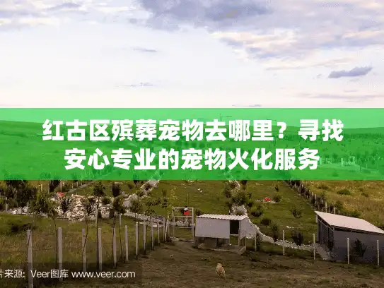 红古区殡葬宠物去哪里？寻找安心专业的宠物火化服务
