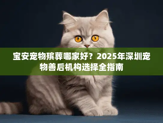 宝安宠物殡葬哪家好？2025年深圳宠物善后机构选择全指南