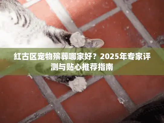 红古区宠物殡葬哪家好？2025年专家评测与贴心推荐指南