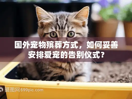 国外宠物殡葬方式，如何妥善安排爱宠的告别仪式？