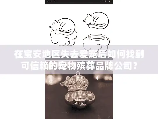 在宝安地区失去爱宠后如何找到可信赖的宠物殡葬品牌公司？