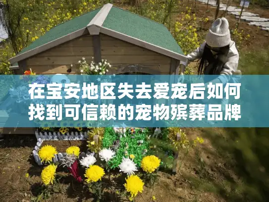 在宝安地区失去爱宠后如何找到可信赖的宠物殡葬品牌公司？