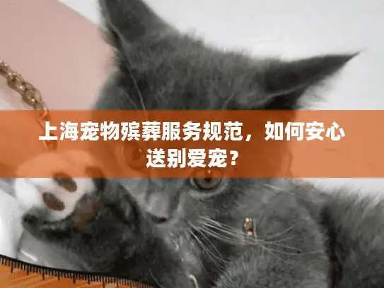 上海宠物殡葬服务规范，如何安心送别爱宠？
