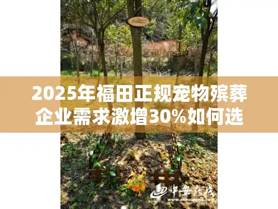 2025年福田正规宠物殡葬企业需求激增30%如何选择可靠服务?